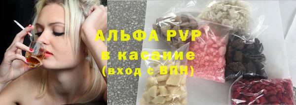 прущие грибы Кукмор