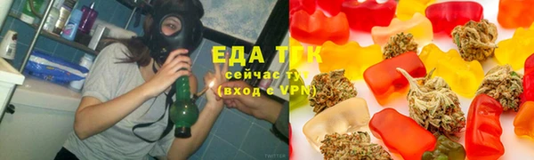дурь Магас