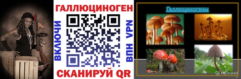 Купить закладки  Верхняя Салда  Псилоцибиновые грибы Psilocybe 